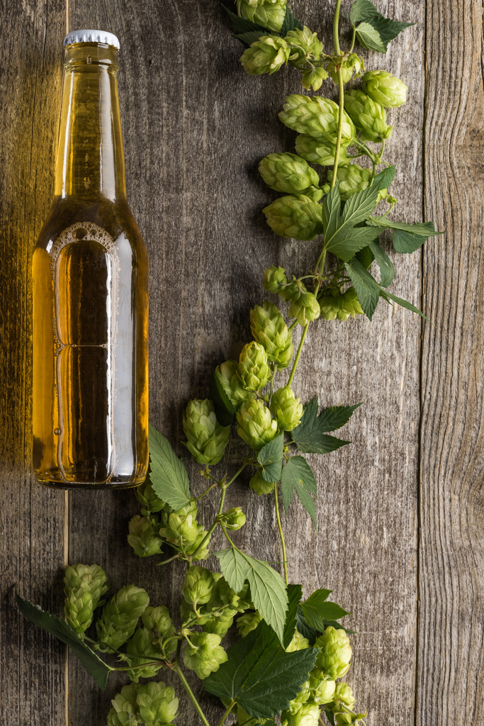 vista superior de la cerveza en botella con lúpulo verde sobre fondo de madera
 - Foto, Imagen
