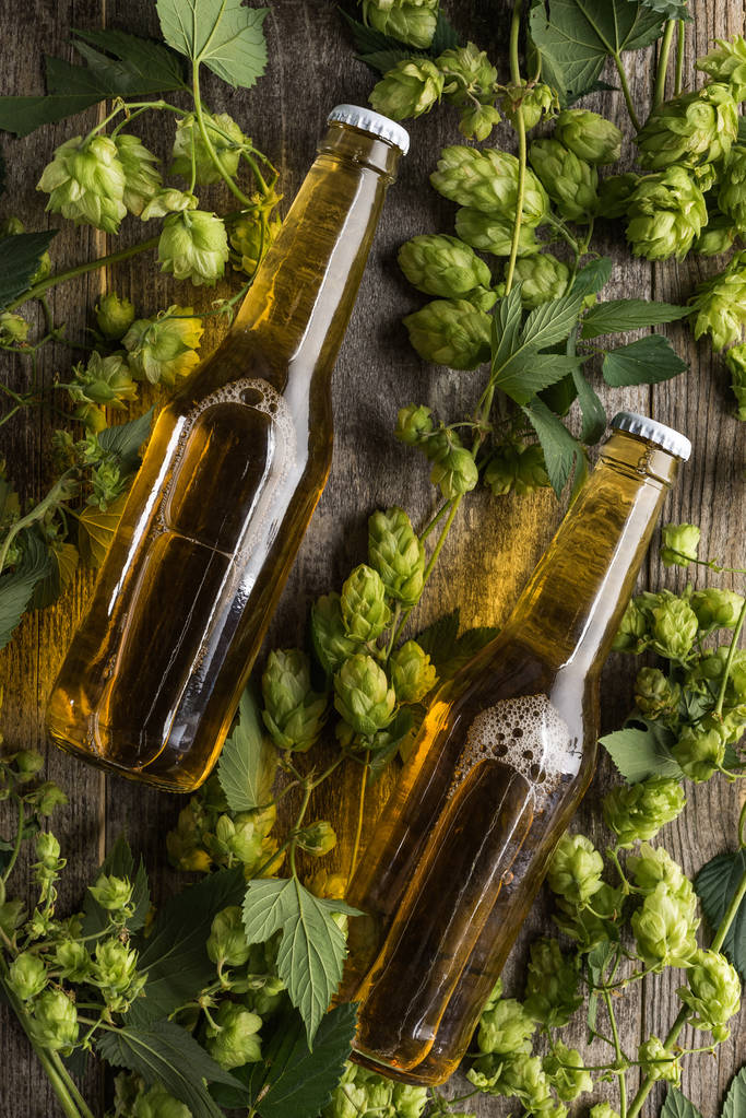 Widok z góry na piwo w butelkach z zielonym chmielu na drewnianym stole - Zdjęcie, obraz