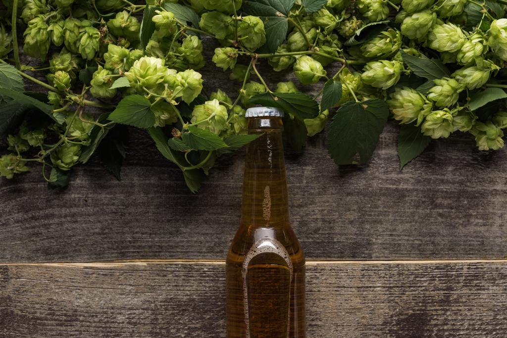 вид на пиво рядом с зеленым хмелем на деревянном фоне
 - Фото, изображение