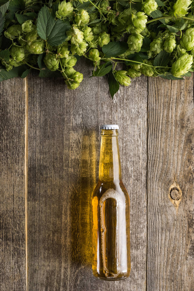Draufsicht auf Bier in Flasche mit grünem Hopfen oben auf Holzgrund - Foto, Bild