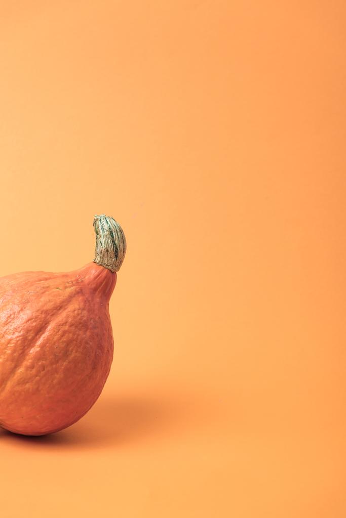 calabaza fresca madura sobre fondo naranja
 - Foto, Imagen