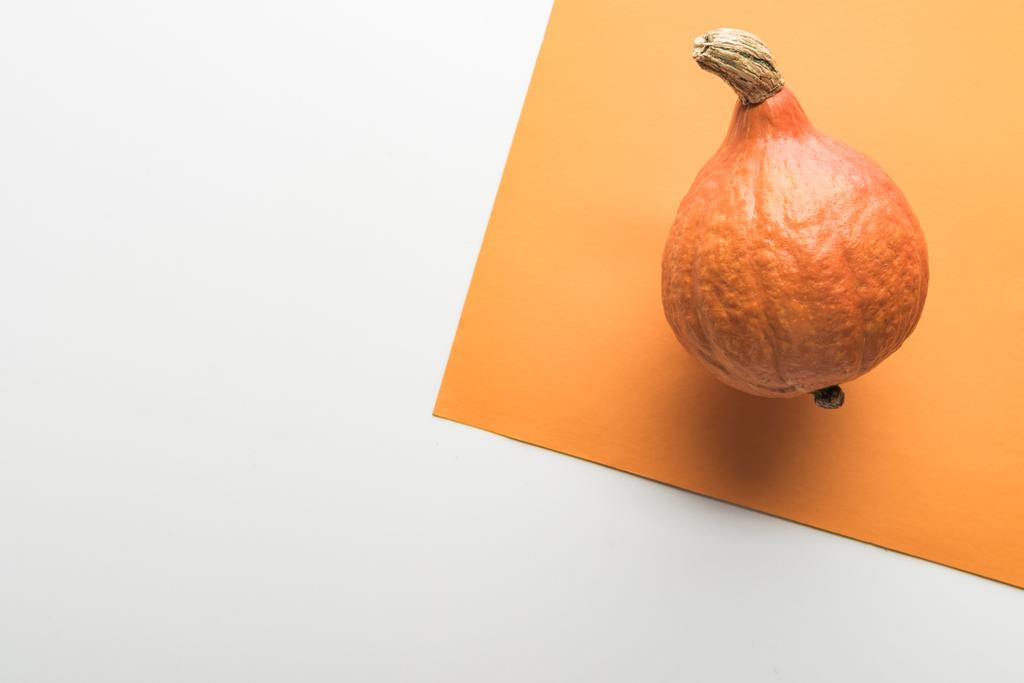 白とオレンジの背景に熟したカボチャのトップビュー - 写真・画像