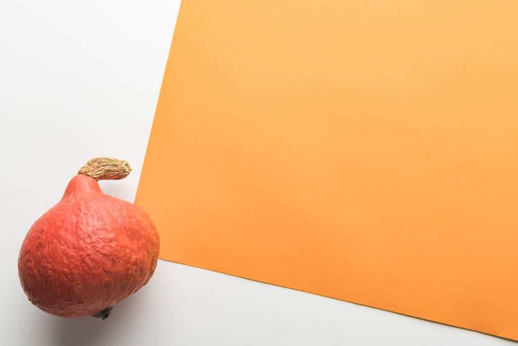 Ansicht des reifen Kürbisses auf weißem und orangefarbenem Hintergrund - Foto, Bild
