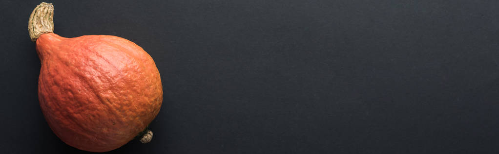 Panoramaaufnahme eines reifen Kürbisses auf schwarzem Hintergrund - Foto, Bild