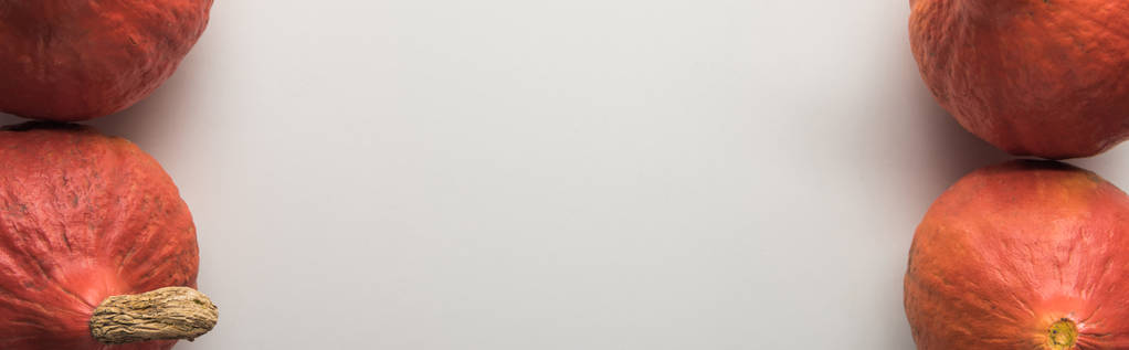 vista superior de abóboras maduras no fundo branco, tiro panorâmico
 - Foto, Imagem