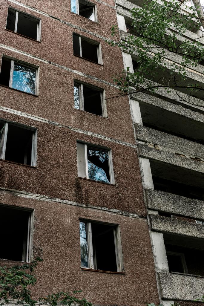 opuszczony brązowy budynek w pobliżu zielonych drzew z liści w Czarnobylu  - Zdjęcie, obraz