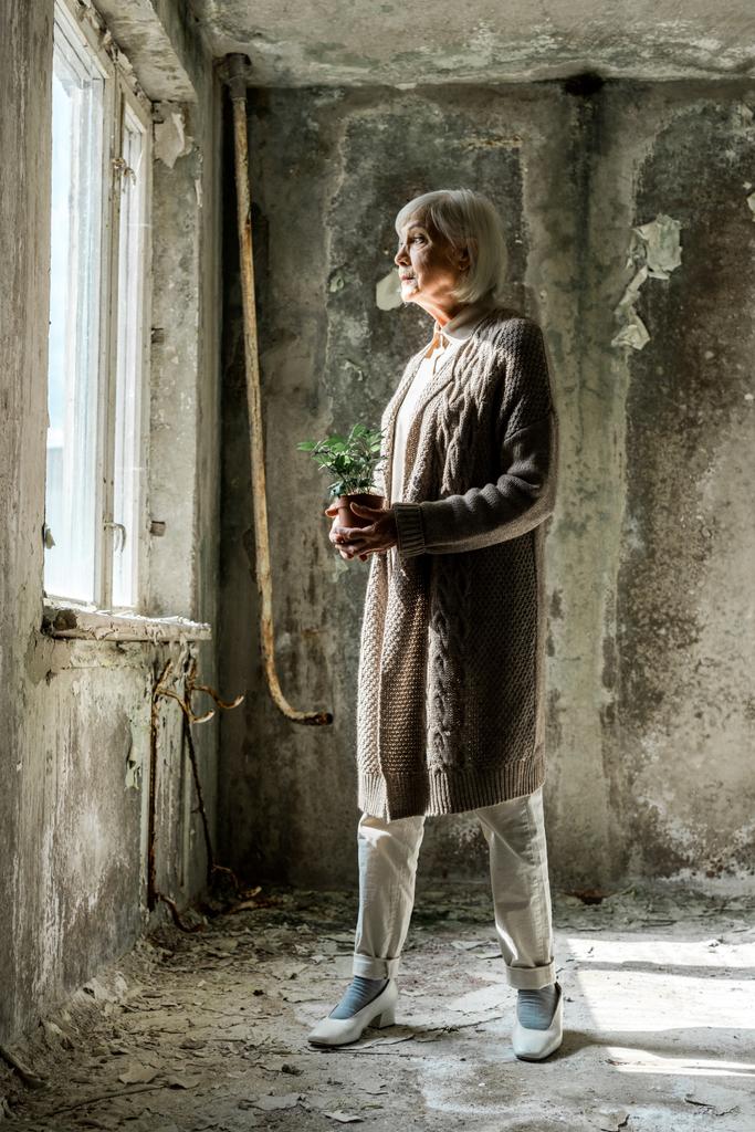 Starsza kobieta trzyma małą roślinę w doniczce w pustym pomieszczeniu  - Zdjęcie, obraz