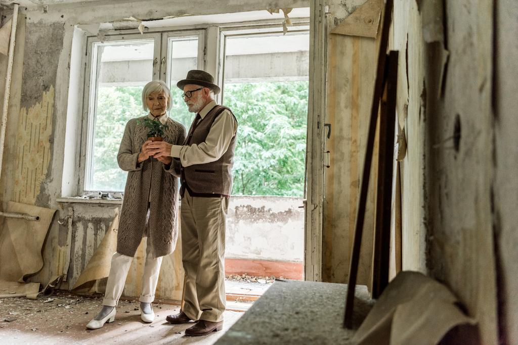messa a fuoco selettiva di pensionato uomo e donna che tengono piccolo impianto in camera sporca a Chernobyl
  - Foto, immagini