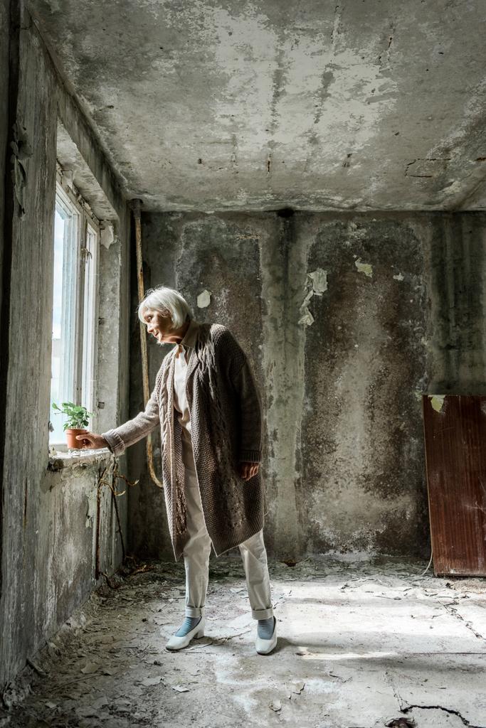 пенсионер положить небольшой завод в горшок в пустой комнате рядом с окном
  - Фото, изображение
