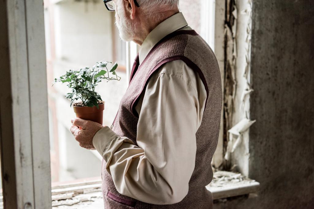 visão cortada de homem barbudo aposentado segurando planta
  - Foto, Imagem