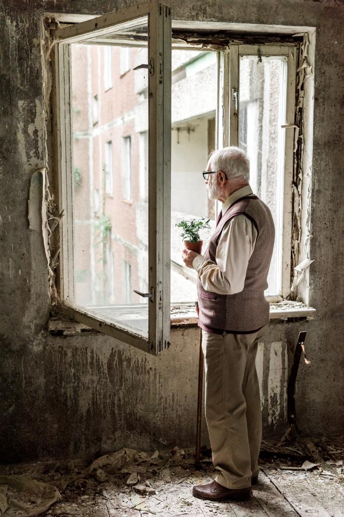 Bärtiger Rentner mit Brille hält Pflanze in Zimmerfenster  - Foto, Bild