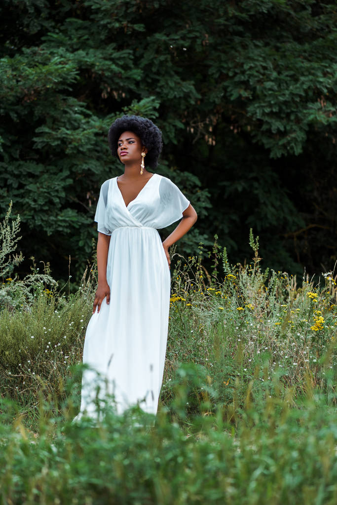 野生の花とフィールドに立っている白いドレスで美しいアフリカ系アメリカ人の女の子の選択的な焦点  - 写真・画像