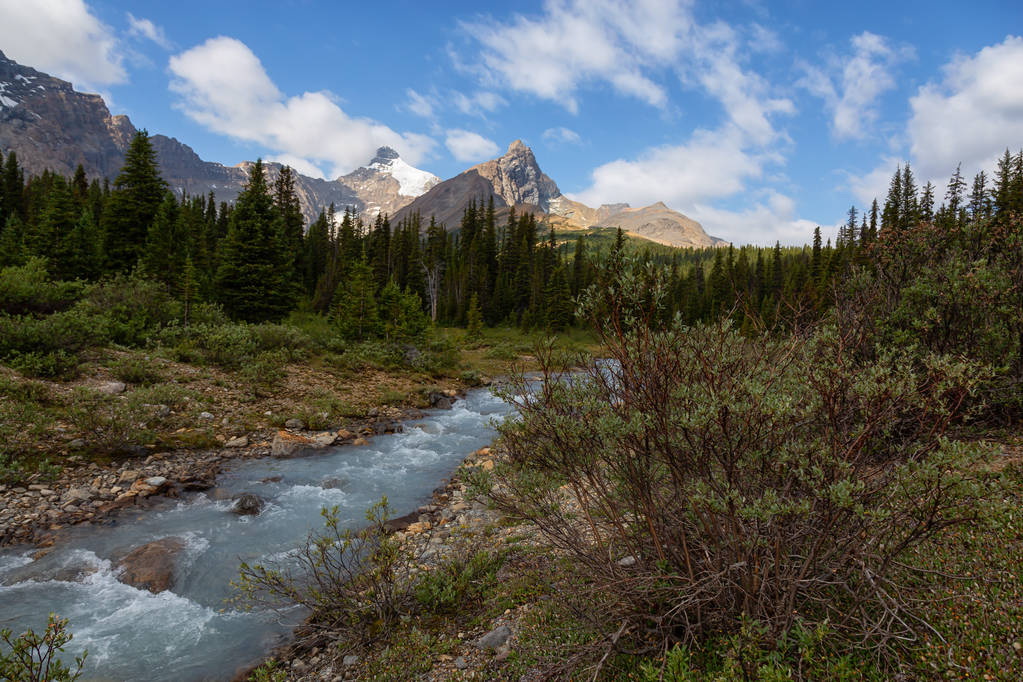 Glacier River Flowing in the beautiful Canadian Rockies during a sunny summer day. Taken in Jasper National Park, Alberta, Canada. - Photo, Image