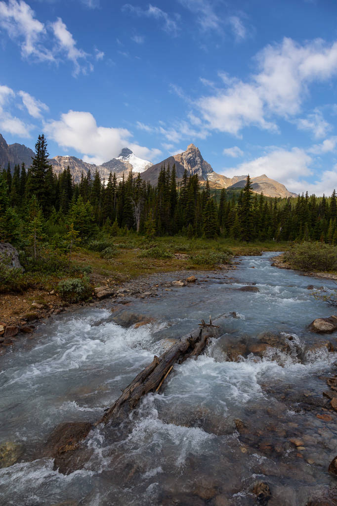 Льодовикова річка тече в красивих канадських Скелястих горах протягом сонячного літнього дня. Взято в Національний парк Джаспер, Альберта, Канада. - Фото, зображення