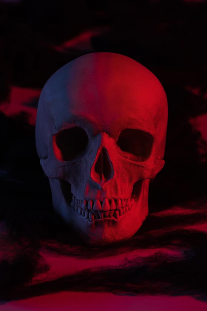 赤い光の中で不気味な人間の頭蓋骨、ハロウィーンの装飾 - 写真・画像