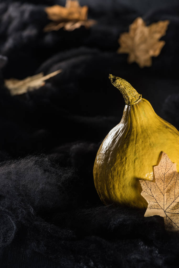 calabaza madura cerca de arce hojas amarillas secas sobre fondo negro
 - Foto, imagen