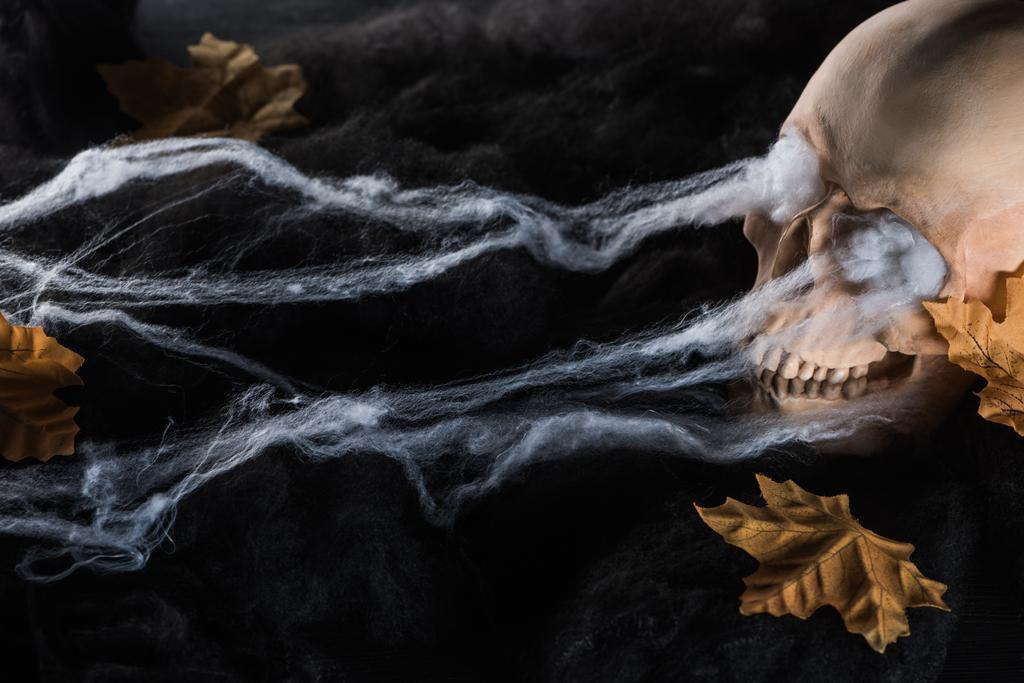 Spooky menselijke schedel met gele bladeren in zwarte wolken, Halloween decoratie - Foto, afbeelding