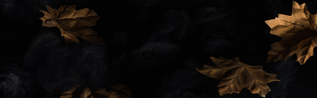 панорамний знімок сухого жовтого листя в чорних хмарах, прикраса Хеллоуїна
 - Фото, зображення