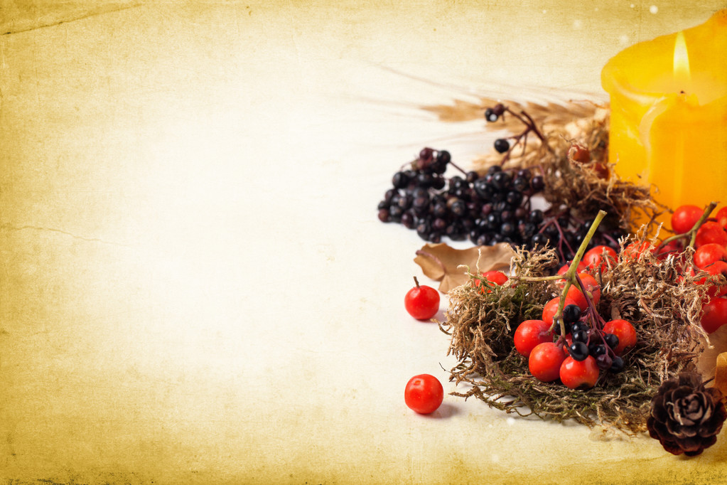 Tarjeta de otoño con bayas
 - Foto, Imagen