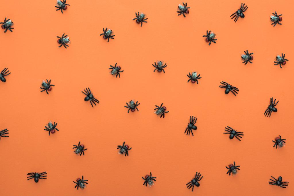 top view of scary spiders on orange background - Photo, Image