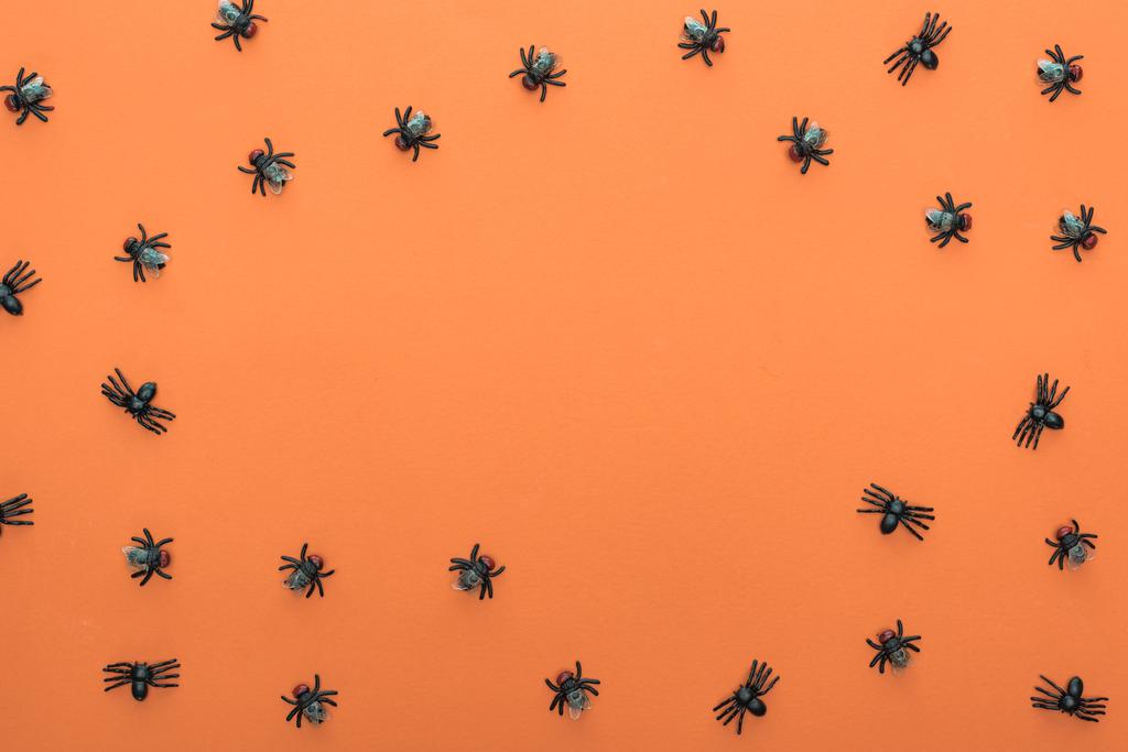 вид сверху страшных пауков на оранжевом фоне с копировальным пространством
 - Фото, изображение