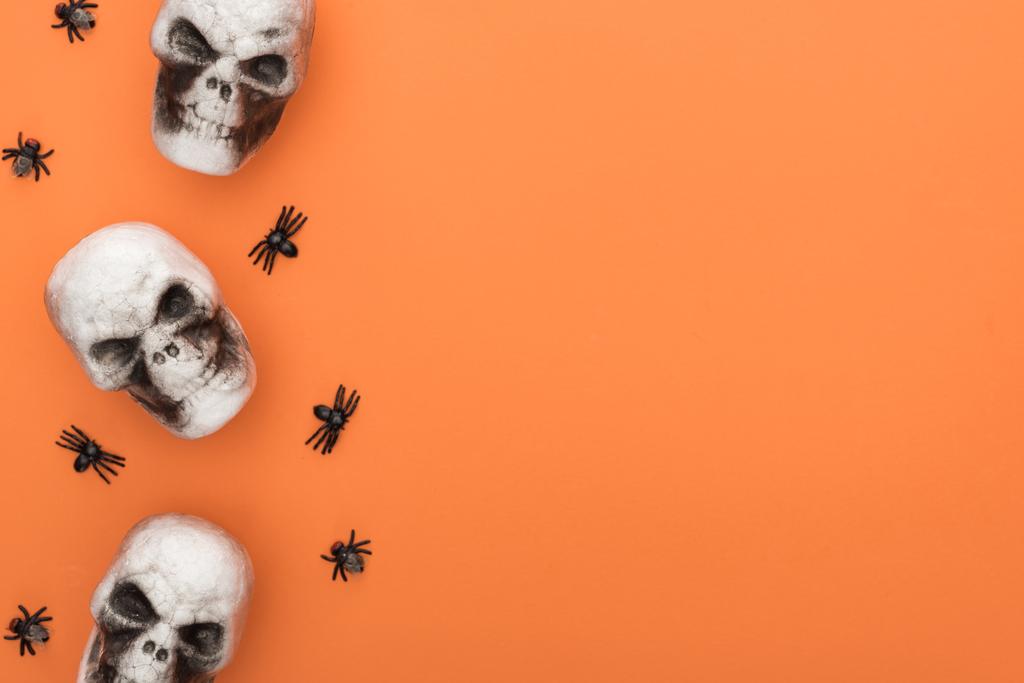 top view of decorative skulls and spiders on orange background with copy space - Photo, Image