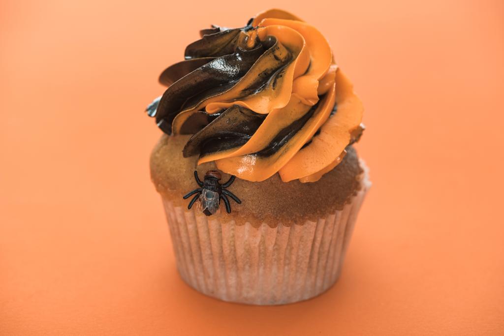 scary Halloween cupcake with fly on orange background - Photo, Image