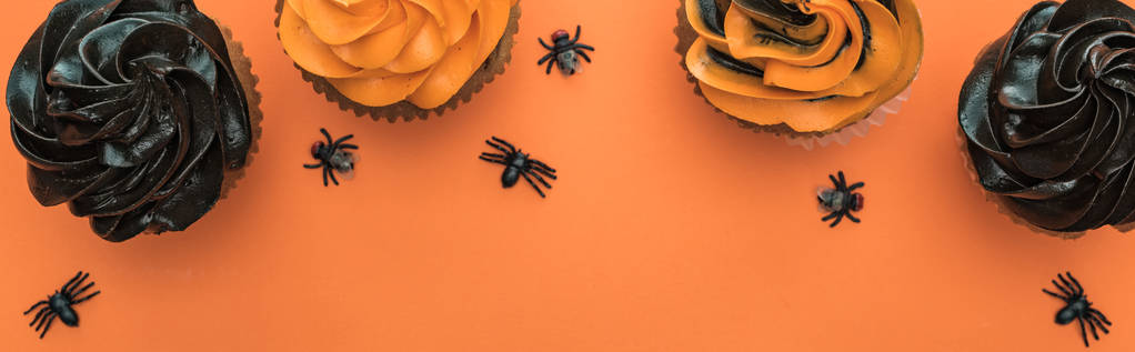 Draufsicht auf köstliche Halloween-Cupcakes mit Spinnen auf orangefarbenem Hintergrund mit Kopierraum, Panoramaaufnahme - Foto, Bild