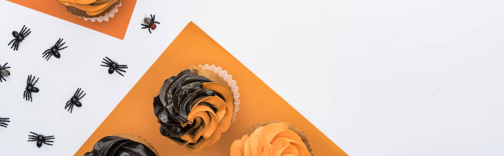 вид сверху на вкусные кексы Хэллоуин с пауками и черепами на белом и оранжевом фоне, панорамный снимок
 - Фото, изображение