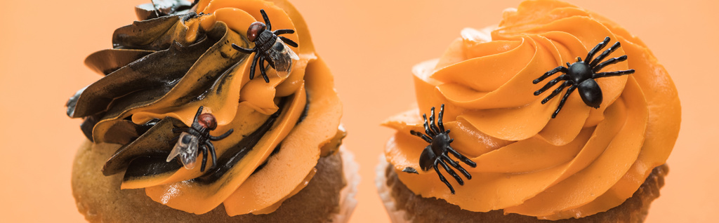 вкусные кексы на Хэллоуин с пауками на оранжевом фоне, панорамный снимок
 - Фото, изображение