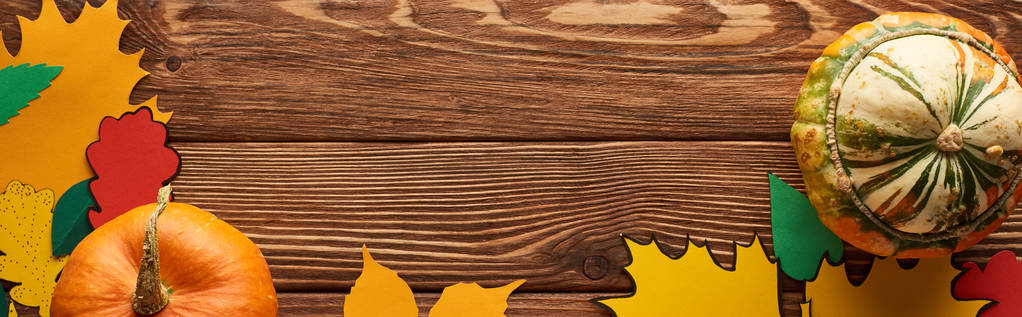 colpo panoramico di zucche su superficie di legno con foglie di carta a colori
 - Foto, immagini