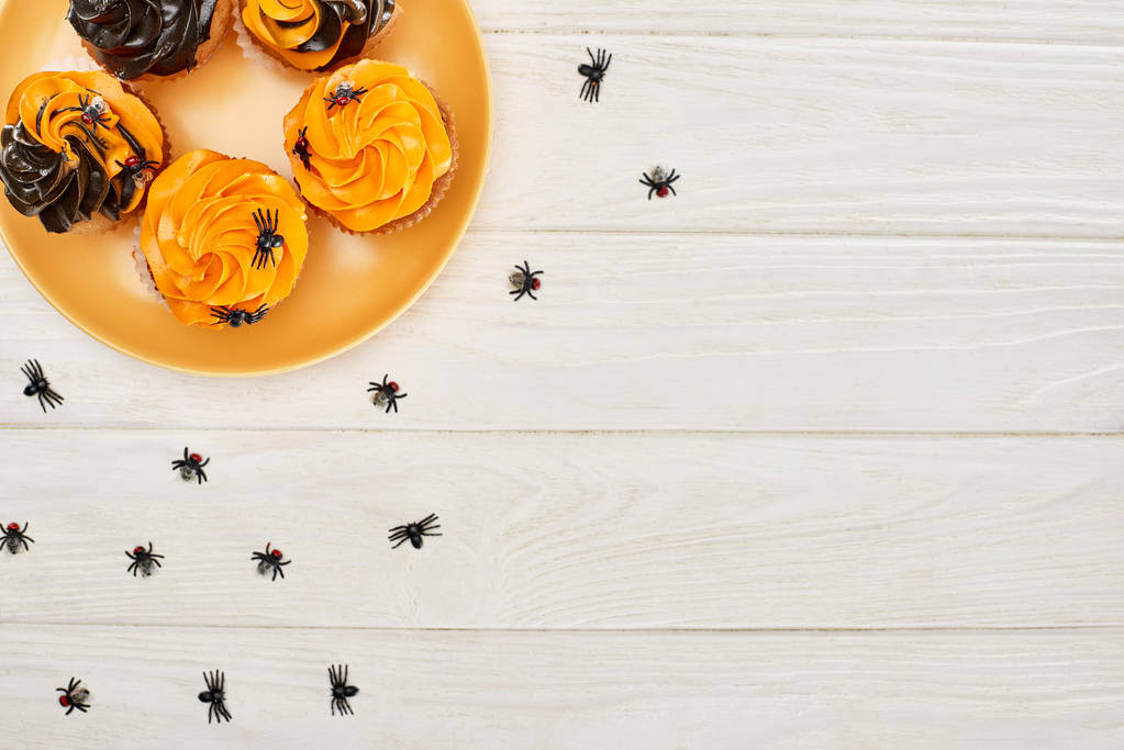 top view of orange plate with cupcakes and spiders on white wooden table, Halloween treat - Photo, Image