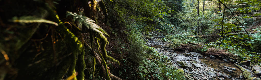 panoraama laukaus virtaava joki lähellä kiviä ja puita
  - Valokuva, kuva