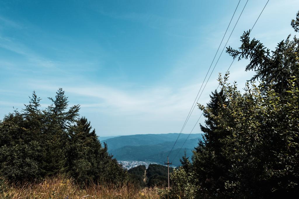 grüne Kiefern in der Nähe von Bergen gegen blauen Himmel mit Wolken - Foto, Bild
