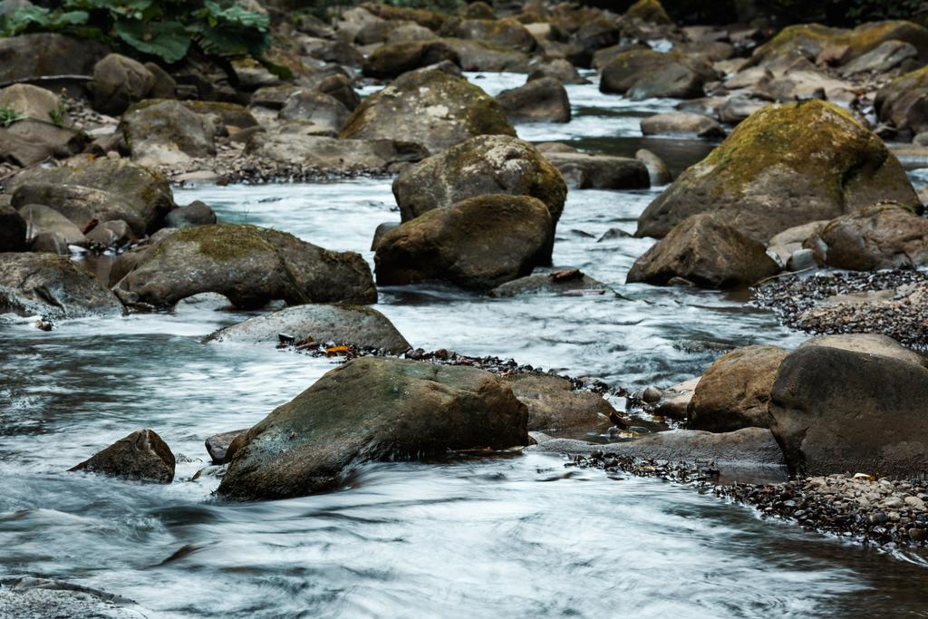 nedves kövek zöld penész mellett áramló patak  - Fotó, kép