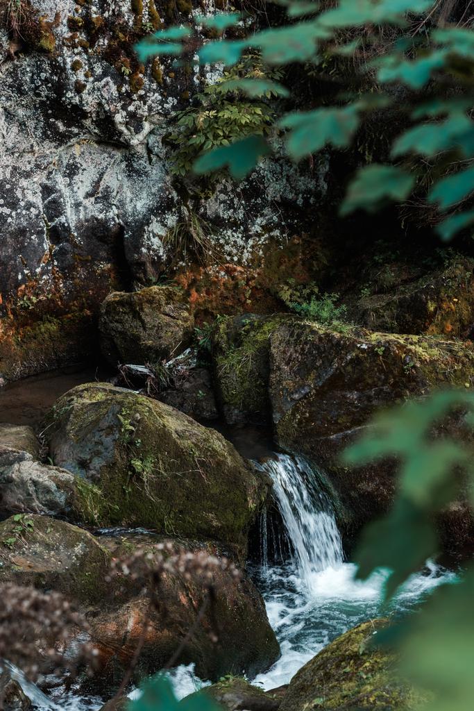 foco seletivo de água corrente perto de pedras com molde em madeiras
  - Foto, Imagem