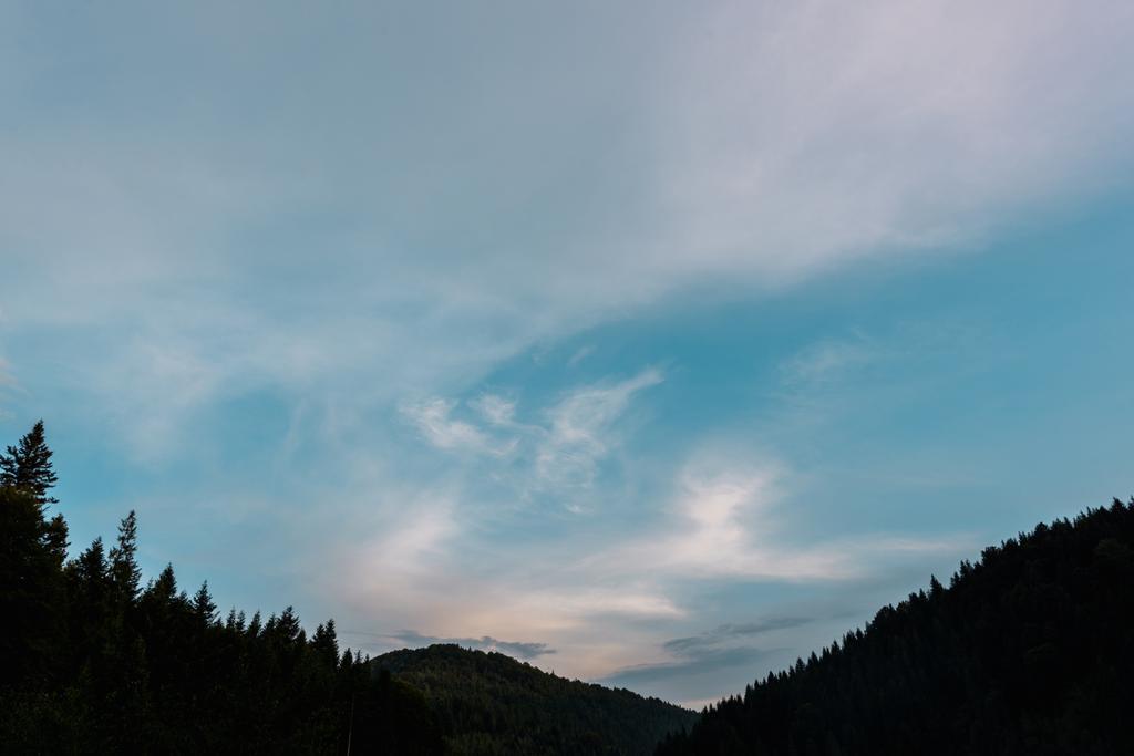 ormanda ağaçların yanında bulutlar ile akşam gökyüzü  - Fotoğraf, Görsel