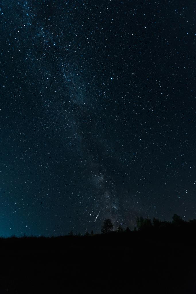 Melkweg op de hemel in donker bos 's nachts  - Foto, afbeelding