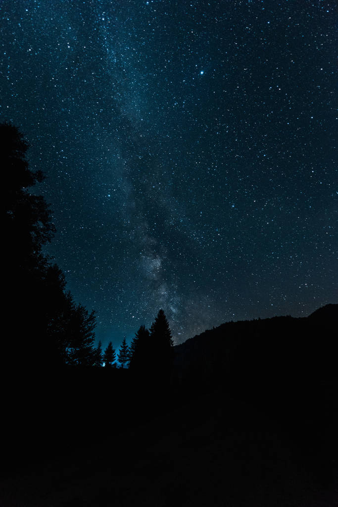 mléčná cesta na modrém nebi v noci v lese  - Fotografie, Obrázek