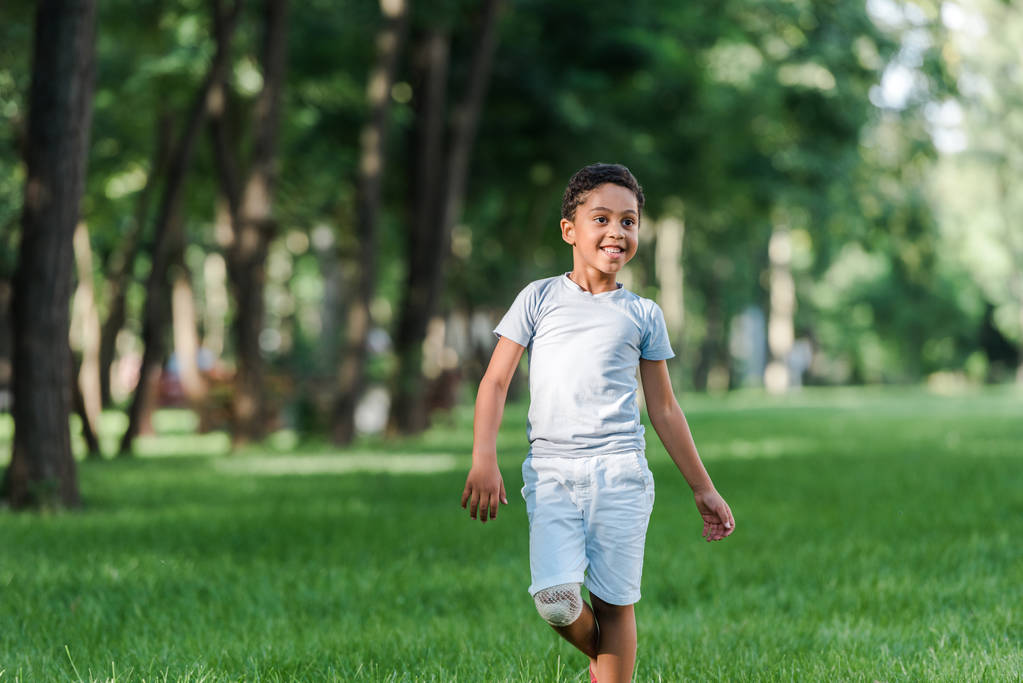 joyeux garçon afro-américain sur herbe verte dans le parc
  - Photo, image