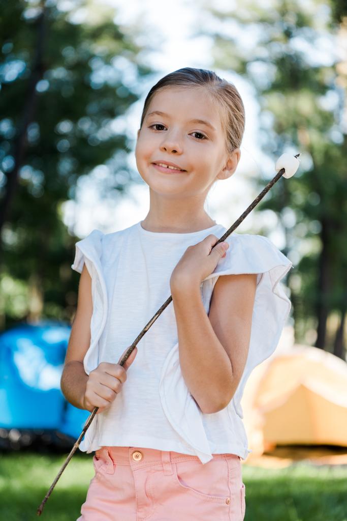 enfant heureux souriant tout en tenant rameau avec guimauve dans le parc
  - Photo, image