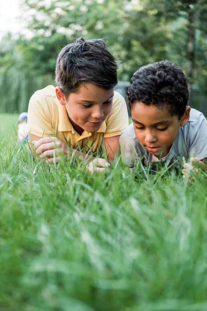 fuoco selettivo di adorabili ragazzi multiculturali sdraiati sull'erba e guardando attraverso la lente d'ingrandimento
   - Foto, immagini