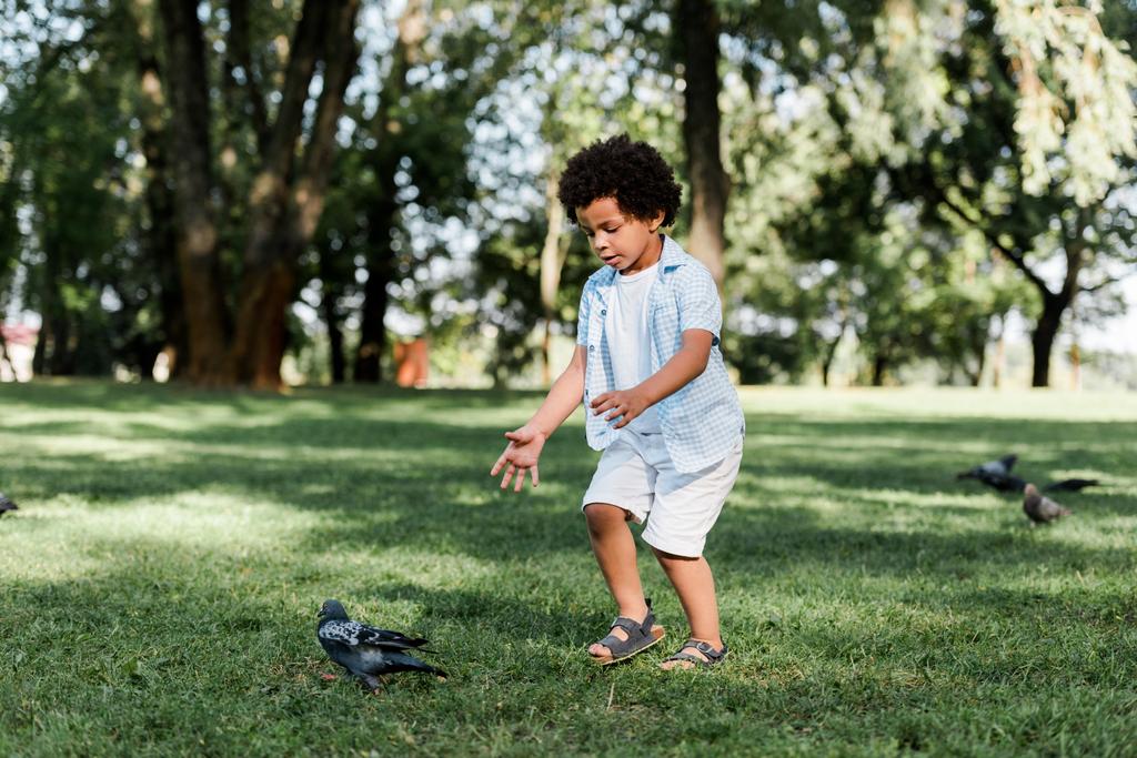 милий афроамериканський малюк жестикулює, дивлячись на голубів
  - Фото, зображення