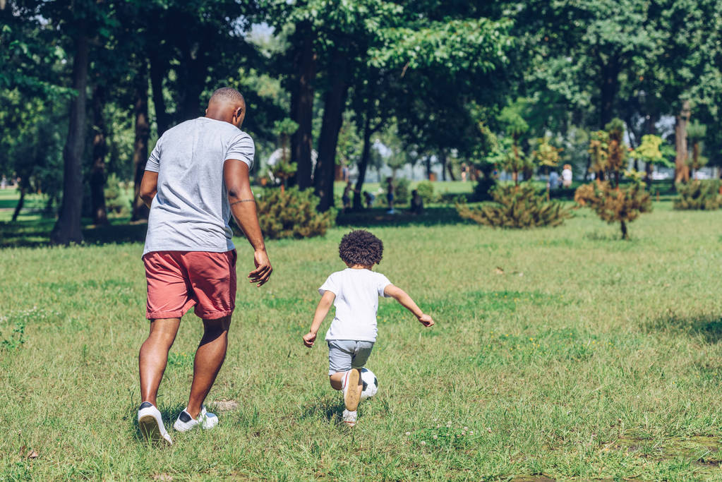 vista trasera del padre y el hijo afroamericanos jugando al fútbol en el parque
 - Foto, imagen