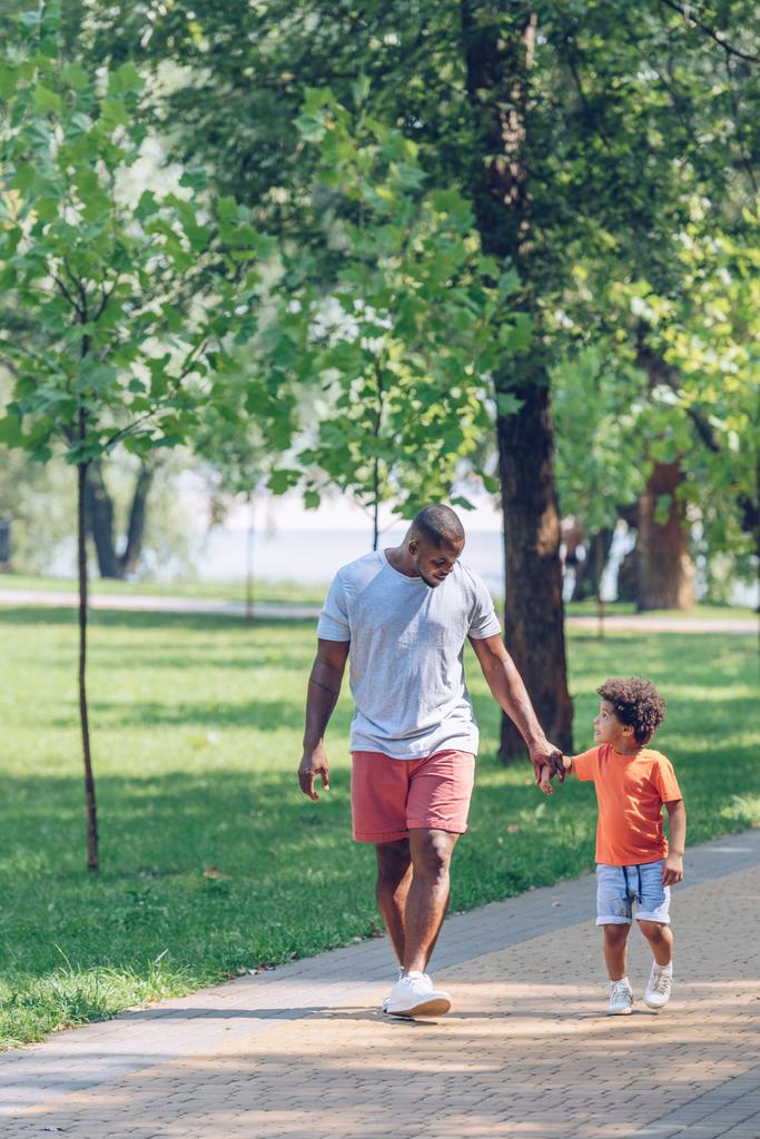 afro-américain père et fils se tenant la main et se regardant tout en marchant dans le parc
 - Photo, image