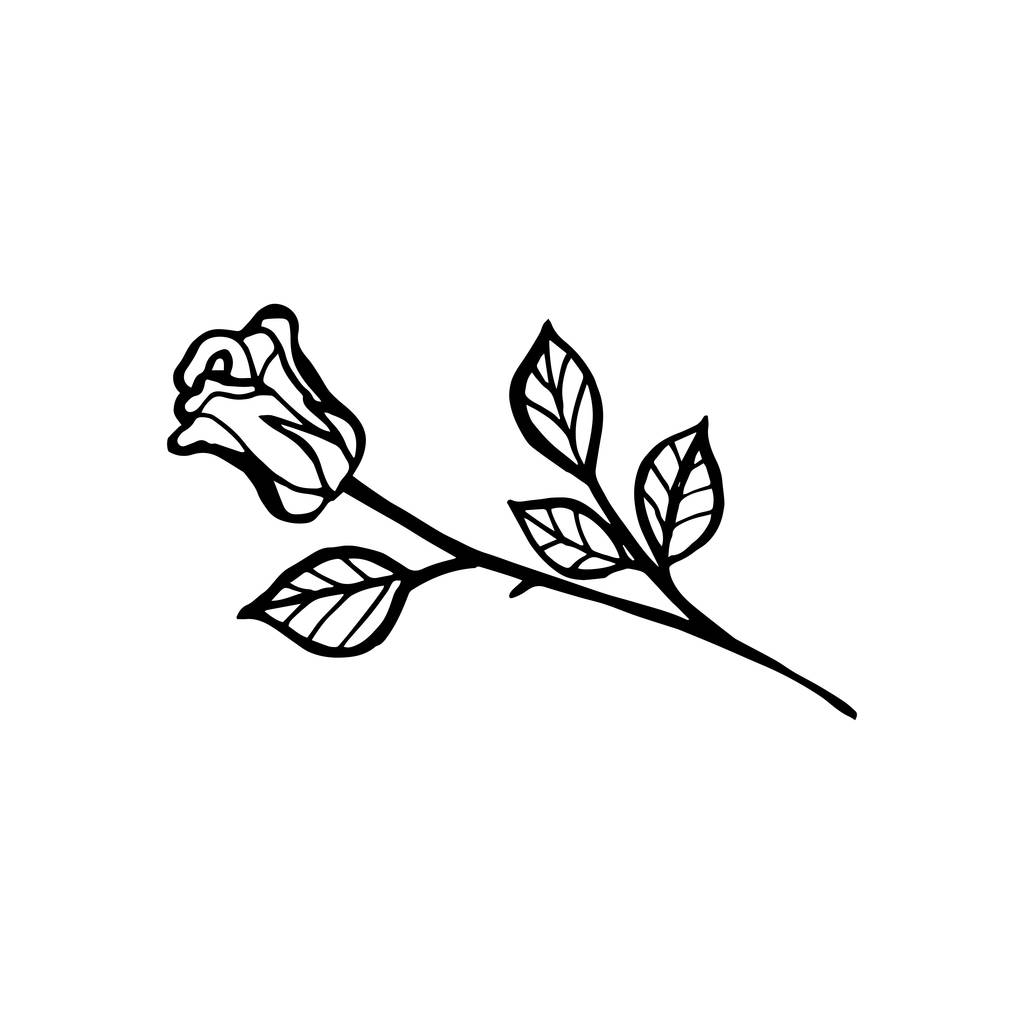 Black and white line drawing of rose flower, tattoo design sketch. - Vector, Image