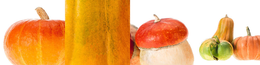 biały kolaż dojrzałej dyni naturalny pomarańczowy na białym tle - Zdjęcie, obraz