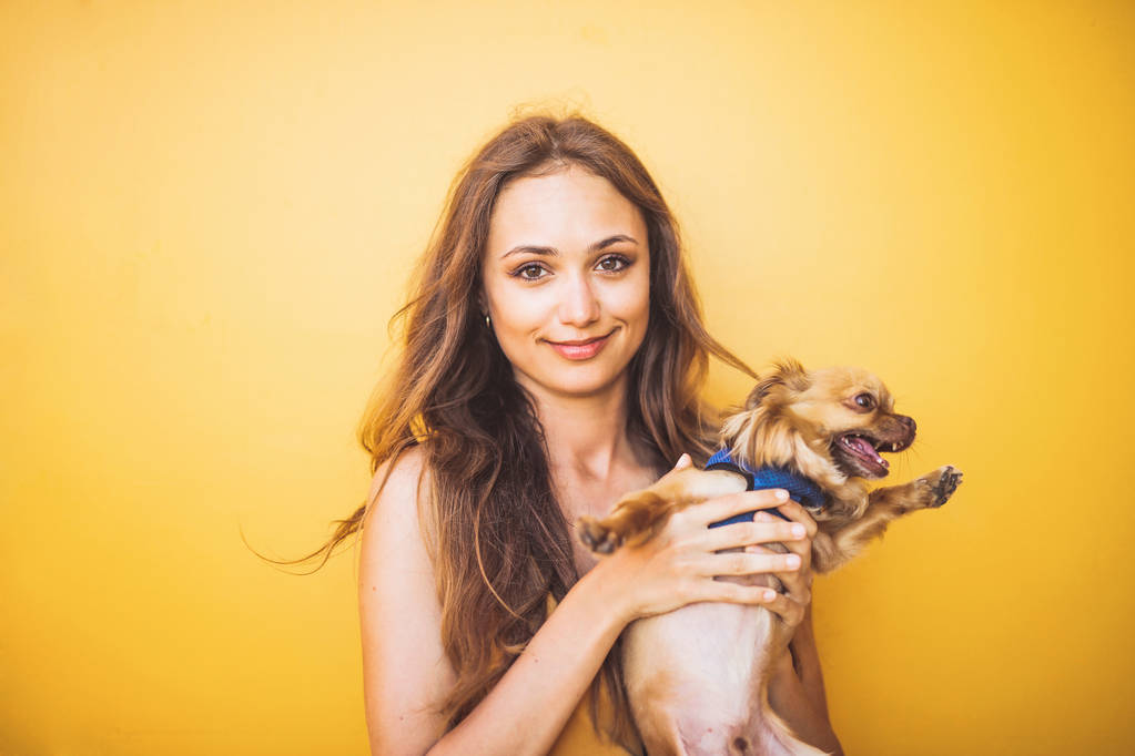 Menina bonita com um cão assustado na frente de uma parede amarela
 - Foto, Imagem