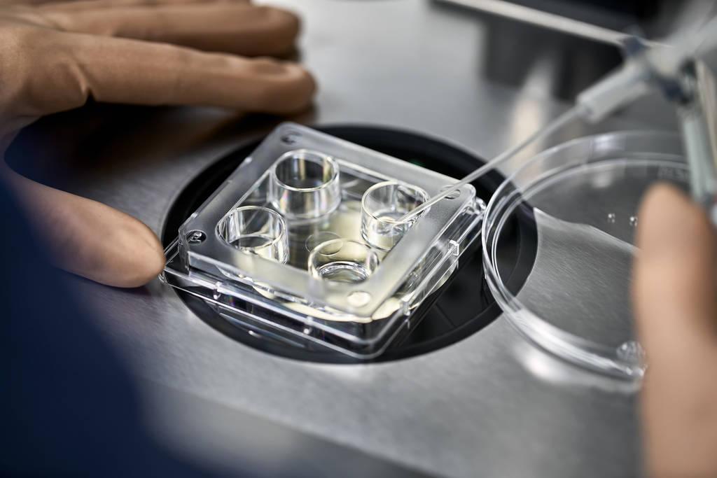 Proces zapłodnienia in vitro w laboratorium - Zdjęcie, obraz