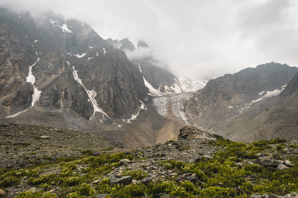 A szikla kis kövekkel van szétszórva, virágzó fű nő. Egy kilátás a gleccserre, és hófödte éles hegyek nyílnak, a csúcsok, amelyek elrejti a Blak. Az Altaj-hegység érintetlen természete. - Fotó, kép